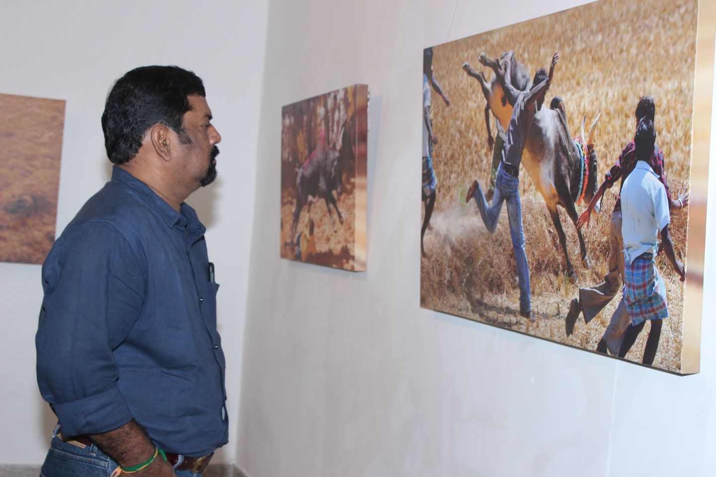 Jallikattu (Veera Vilayattu) Photo Exhibition